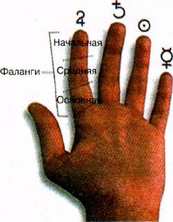 Как прочитать линии на руке