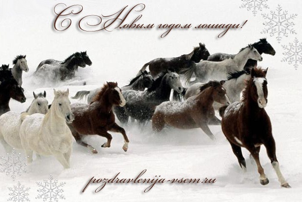 Открытка с поздравлением на Новый год лошади