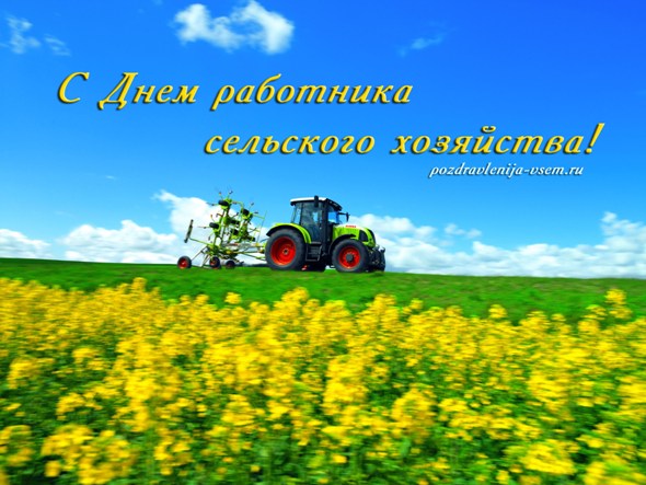 День работников сельского хозяйства, 8 октября: картинки и открытки к празднику